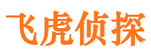 桑日市调查公司